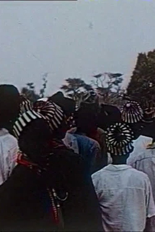 Réjouissances sénégalaises (1967) movie poster