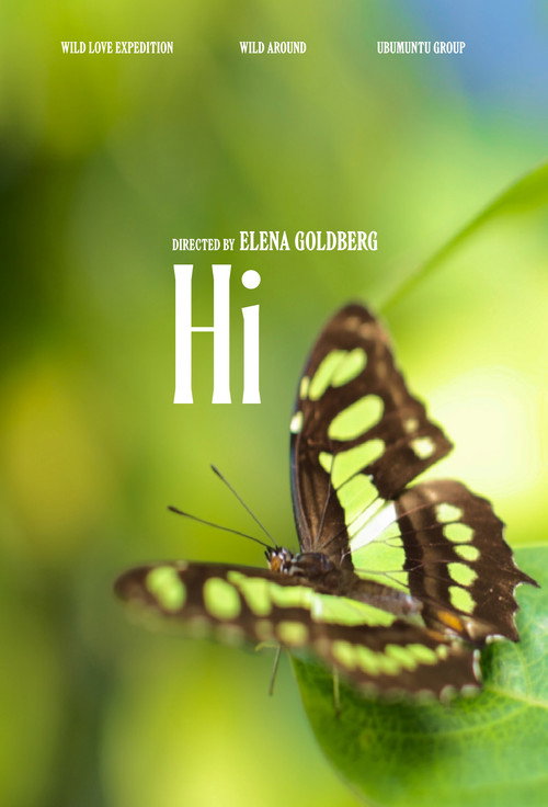 Hi (2025/II) (2025) movie poster