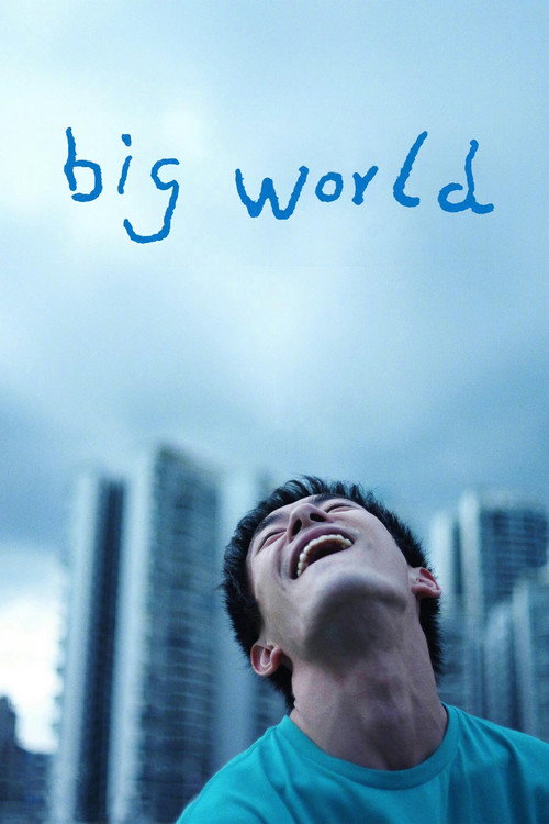 Big World (2024) movie poster
