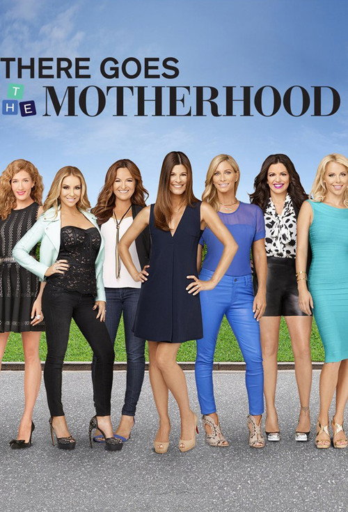There Goes the Motherhood (2016) TV show poster