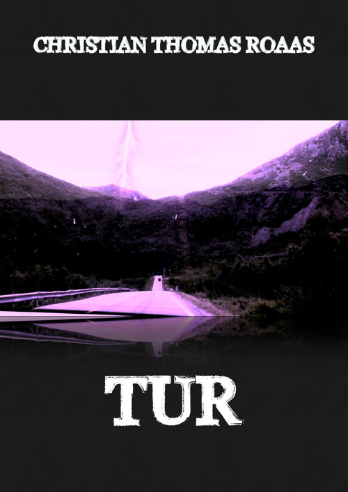 Trip (2013) movie poster