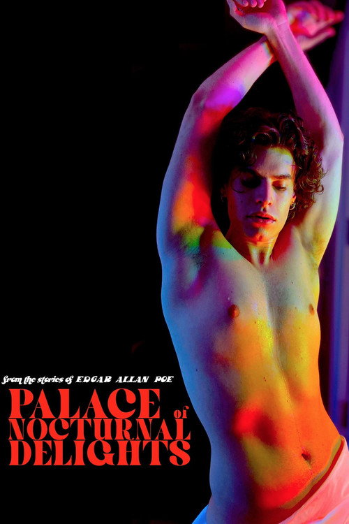 Palace of Nocturnal Delights (2024) movie poster