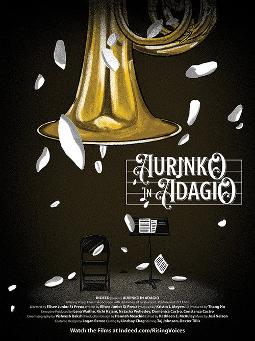 Aurinko in Adagio (2021) movie poster