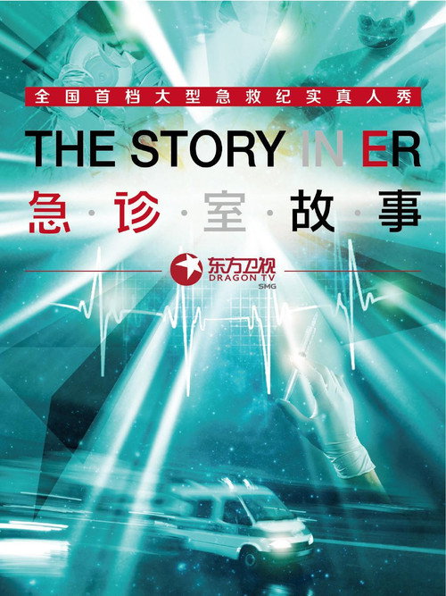 The Story in ER (2014) TV show poster