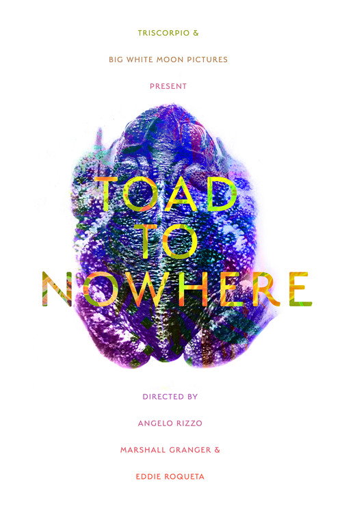 Toad to Nowhere movie poster