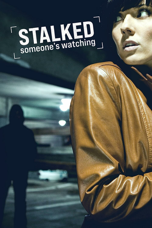 Stalked: Someone's Watching (2011) TV show poster