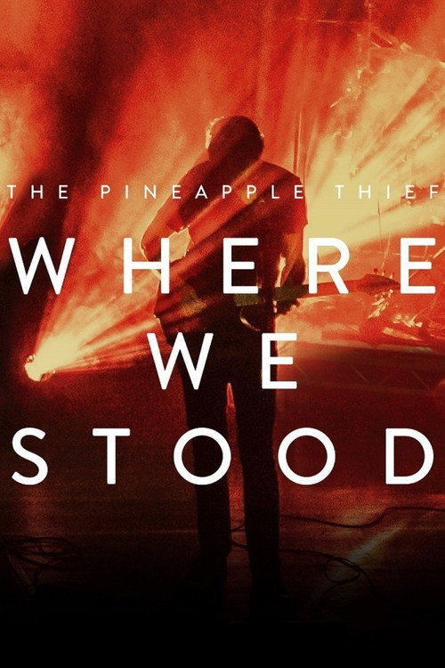 The Pineapple Thief: Where We Stood (2017) movie poster