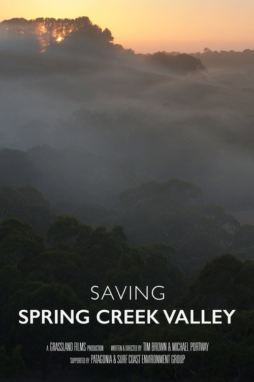 Saving Spring Creek Valley (2026) movie poster