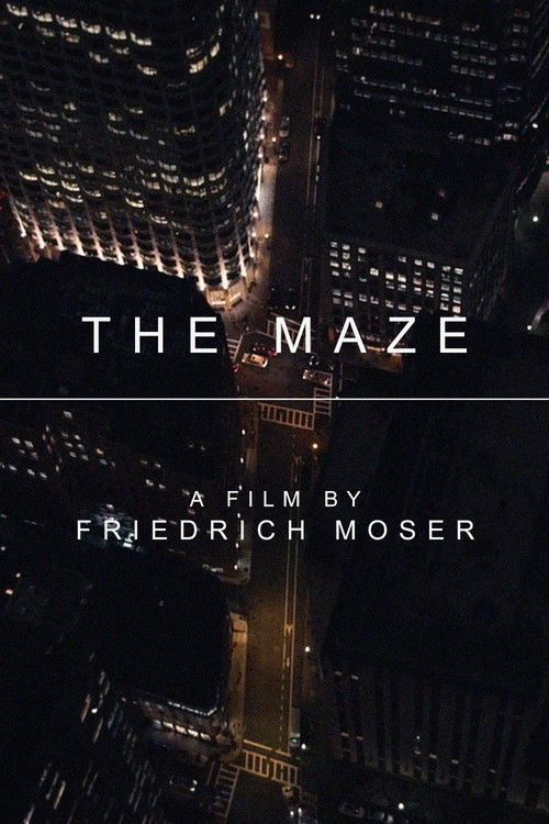 The Maze (2017) movie poster