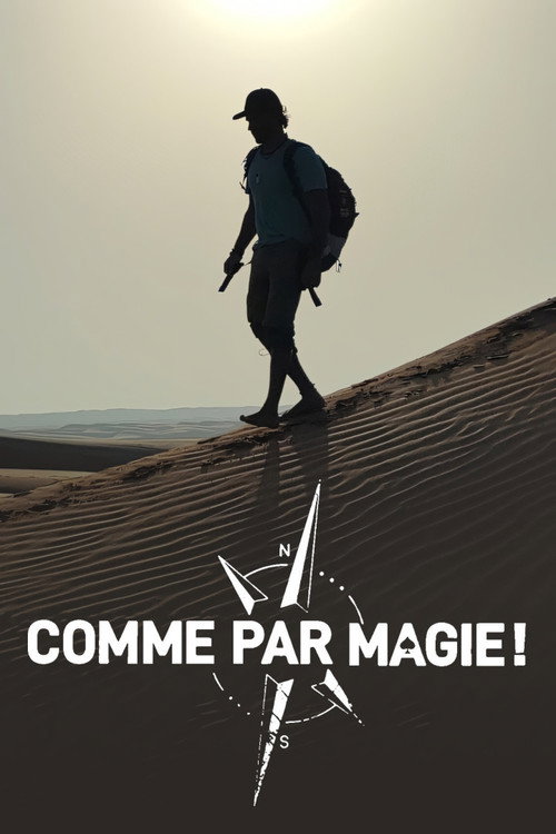 Comme par magie (2024) movie poster
