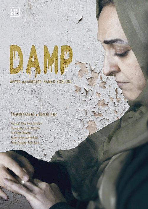Damp (2024) movie poster