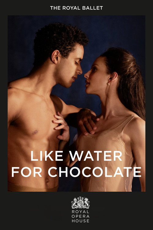 Like Water for Chocolate (2023) movie poster