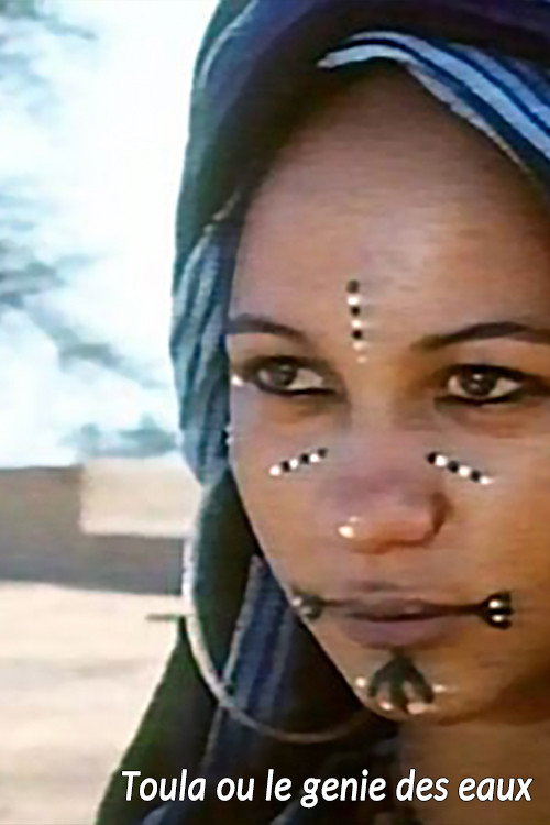 Toula, or the Genie of the Water (1973) movie poster