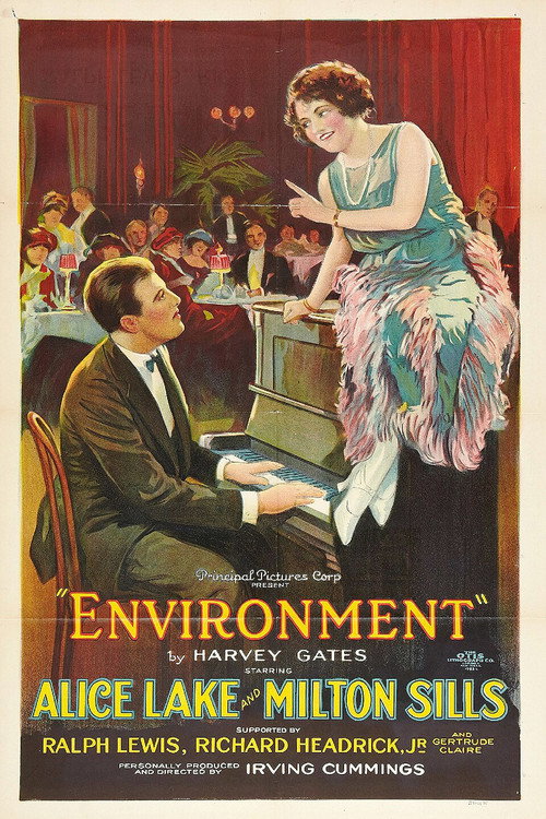 Environment (1922) movie poster