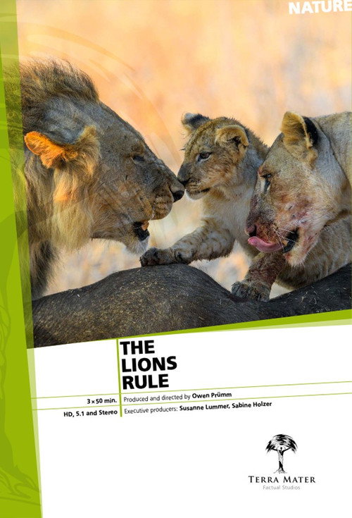 The Lions Rule (2017) TV show poster