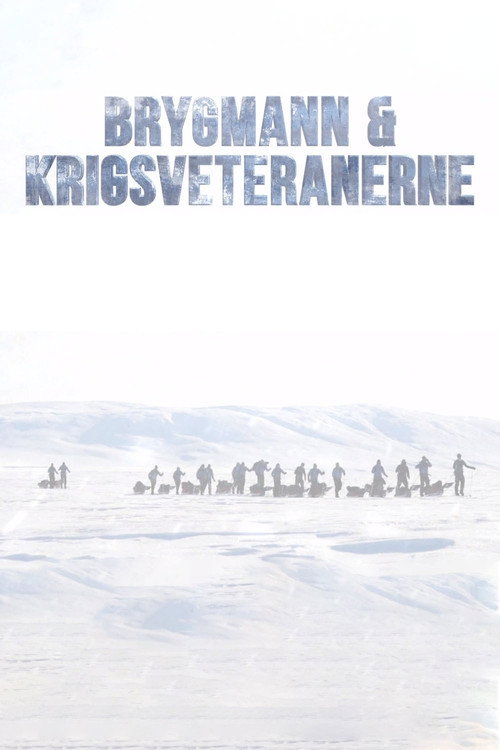 Brygmann og krigsveteranerne (2017) TV show poster