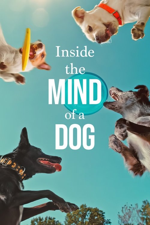 Inside the Mind of a Dog (2024) movie poster