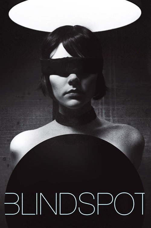 Blindspot (2008) movie poster