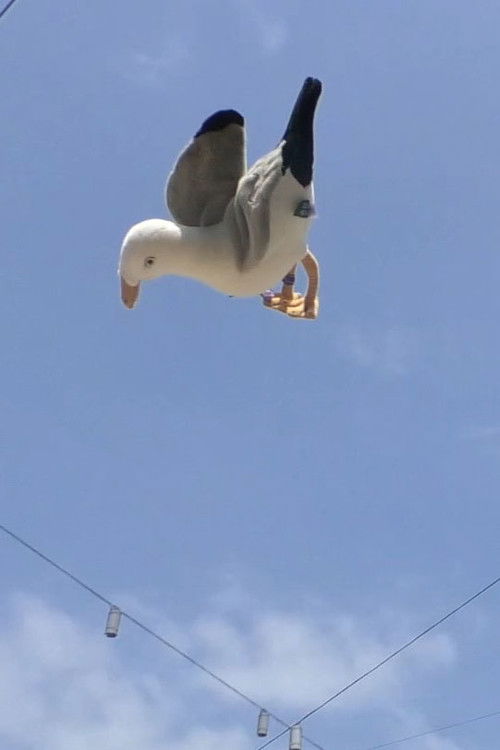 Double Jump (2024) movie poster