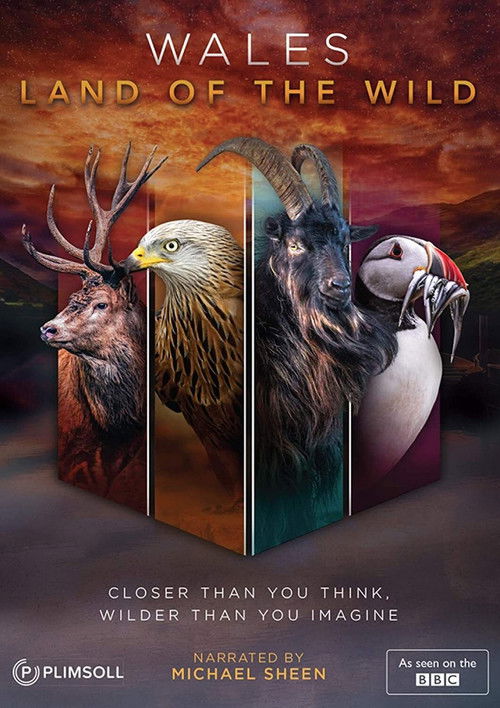 Wales: Land of the Wild (2019) TV show poster