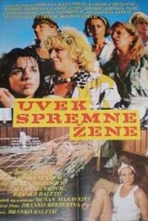 Ever-Ready Women (1987) movie poster