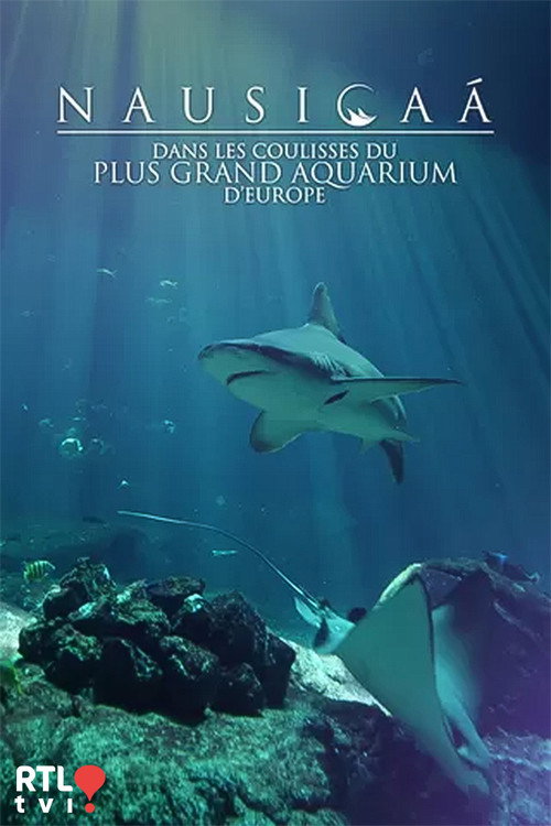 Nausicaá : Dans les coulisses du plus grand aquarium d'Europe (2024) TV show poster