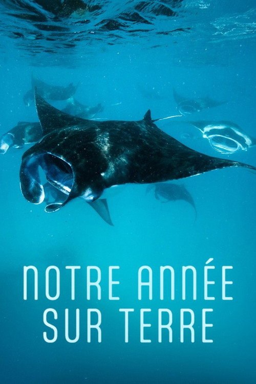 Notre année sur Terre (2022) movie poster