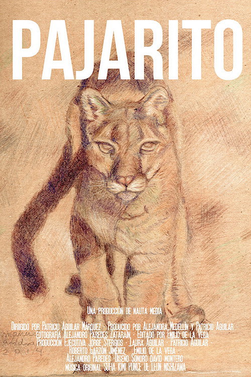 Pajarito (2022) movie poster