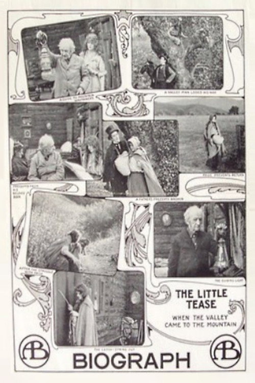 The Little Tease (1913) movie poster