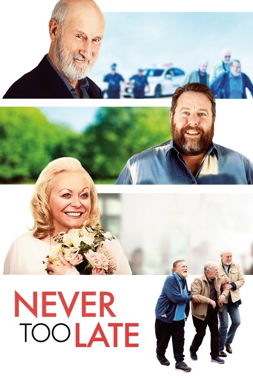 Never Too Late (2020) movie poster