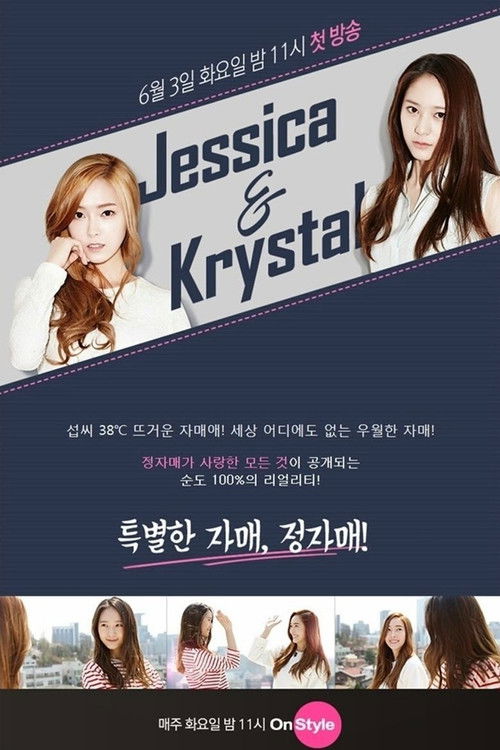 Jessica & Krystal (2014) TV show poster
