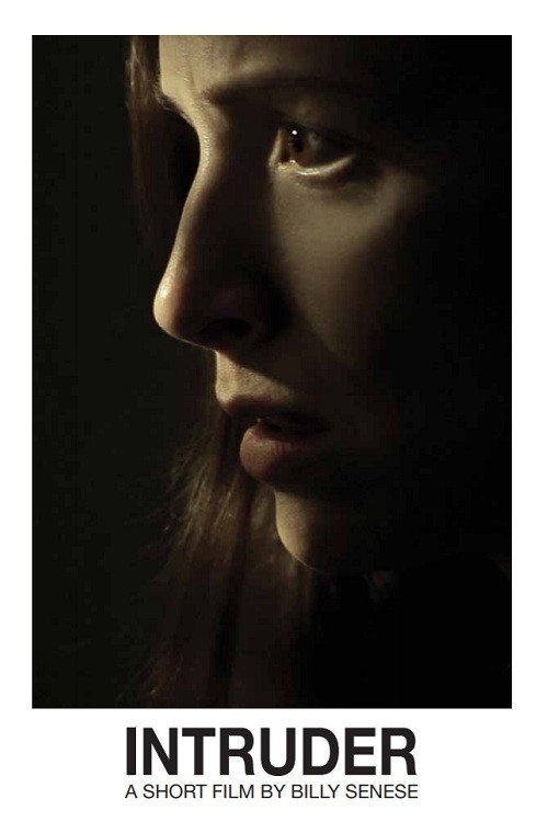 Intruder (2011) movie poster