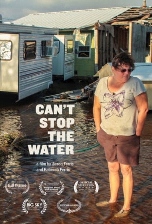 Can't Stop the Water (2013) movie poster