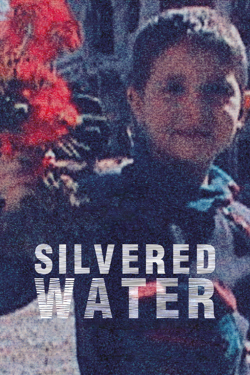 Silvered Water (2014) movie poster