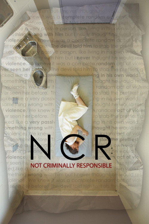 NCR: Not Criminally Responsible (2013) movie poster