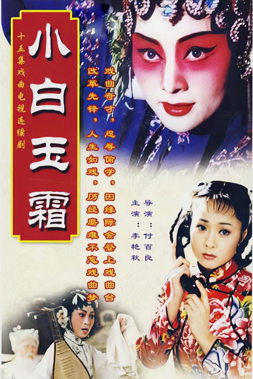 小白玉霜 (2002) TV show poster