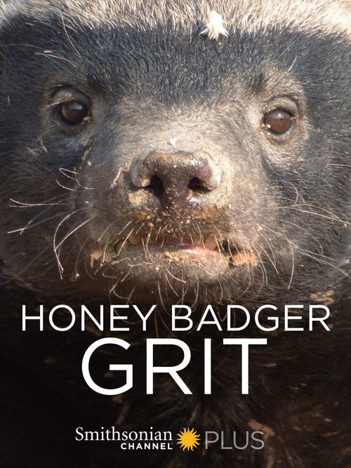 Honey Badger: Grit (2018) movie poster