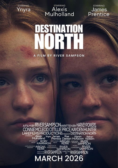 Destination North (2026) movie poster