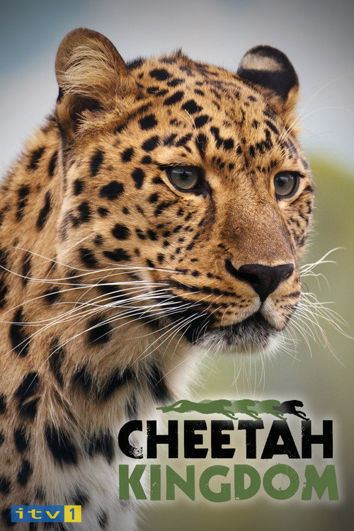 Cheetah Kingdom (2010) TV show poster