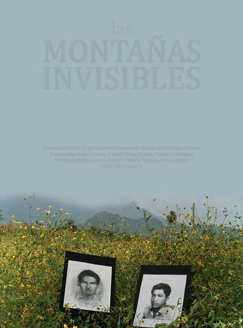 The Invisible Mountains (2012) movie poster