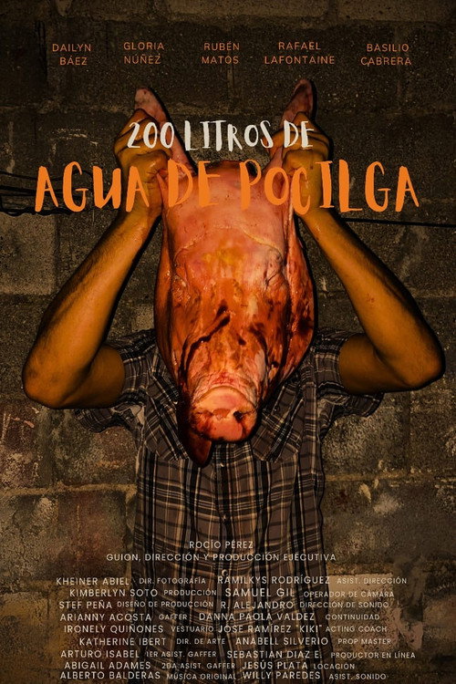 200 LITERS OF PIGSTY WATER (2025) movie poster