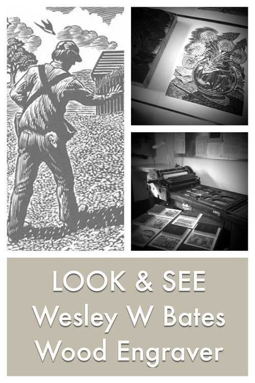 LOOK & SEE:  Wesley W. Bates - Wood Engraver (2017) movie poster