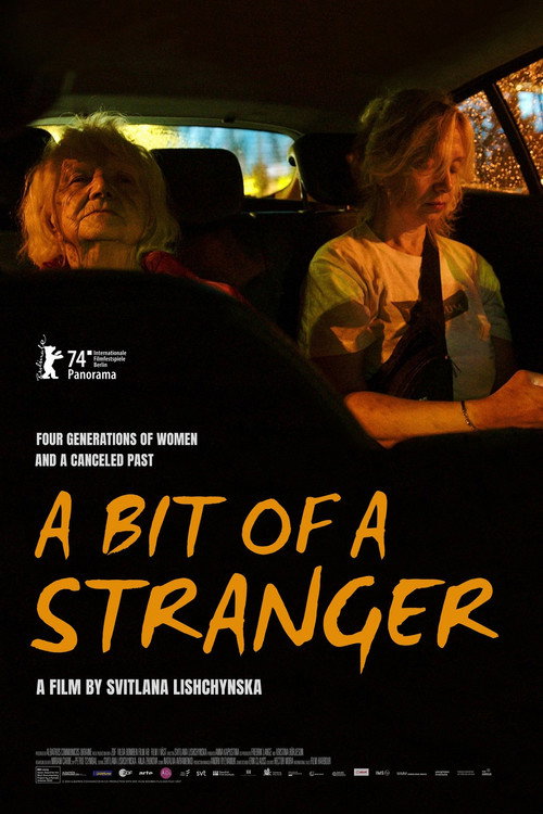 A Bit of a Stranger (2024) movie poster
