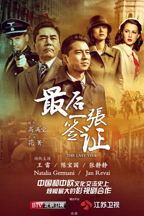 The Last Visa (2017) TV show poster