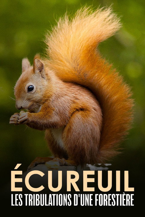 Écureuil : Les Tribulations d'une forestière (2022) movie poster