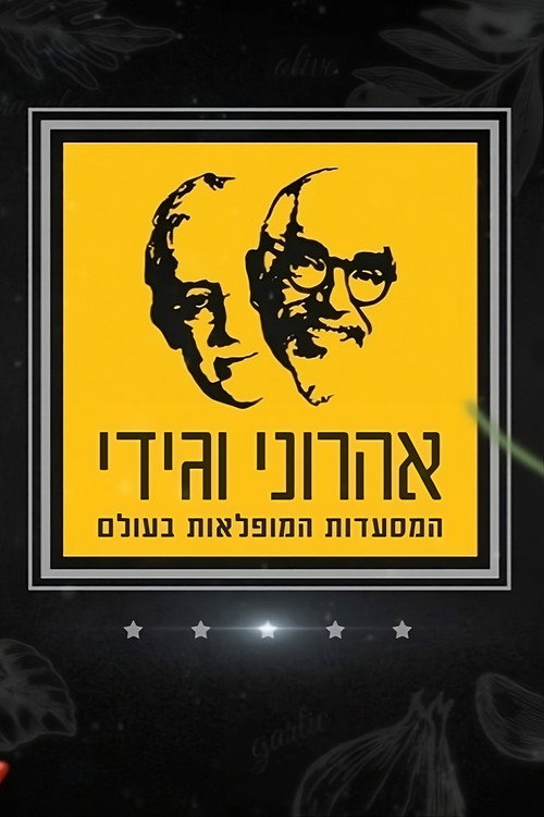 The Amazing Journey of Aharoni & Gidi (2011) TV show poster