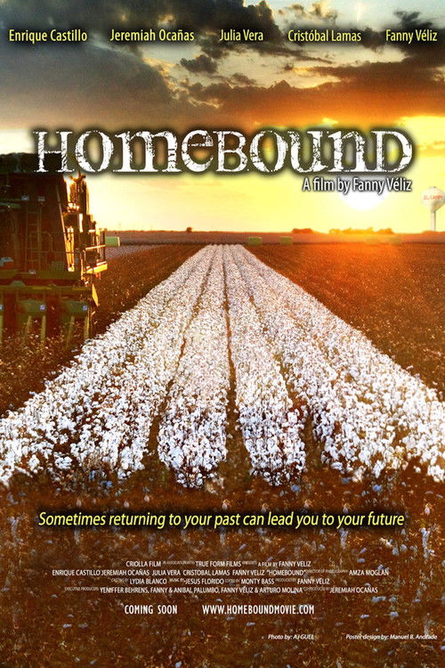 Homebound (2013) movie poster