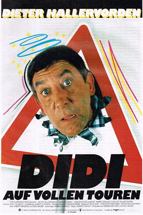 Didi Drives Me Crazy (1986) movie poster