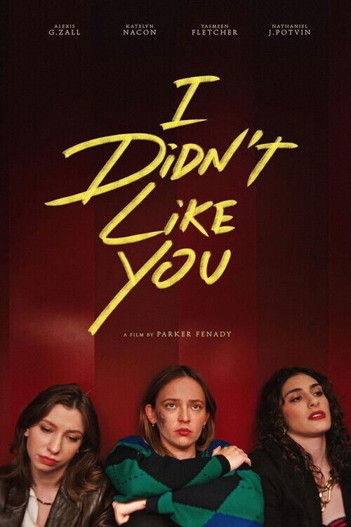 I Didn't Like You (2026) movie poster