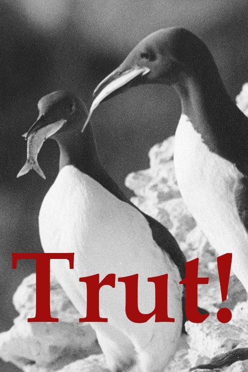 The Gulls (1944) movie poster